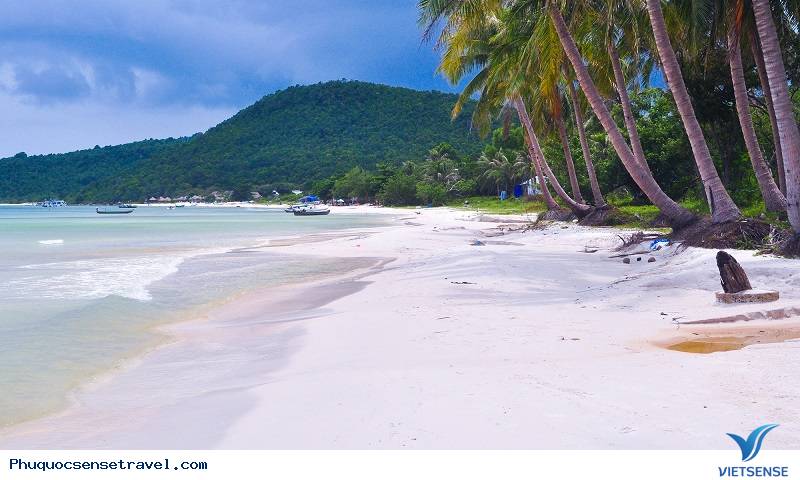 Ngày 02 : Nam đảo Phú Quốc, câu cá lặn ngắm san hô (ăn sáng, ăn trưa, ăn tối) - Ảnh 2