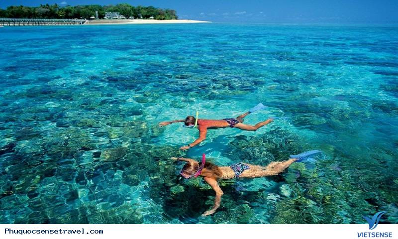 Ngày 02 : Nam đảo Phú Quốc, câu cá lặn ngắm san hô (ăn sáng, ăn trưa, ăn tối) - Ảnh 1