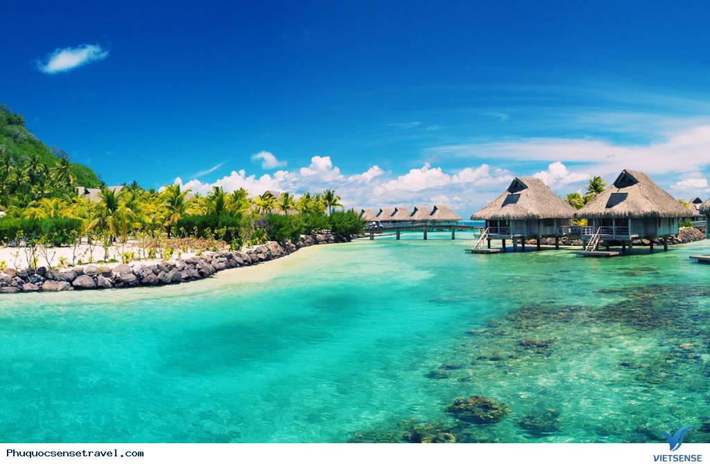 Lịch trình hành trình phú quốc 3 ngày 2 đêm từ Hà Nội - Ảnh 1