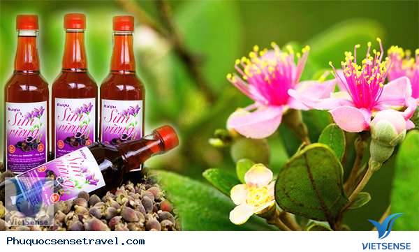 Mật Sim Phú Quốc - Rượu Sim