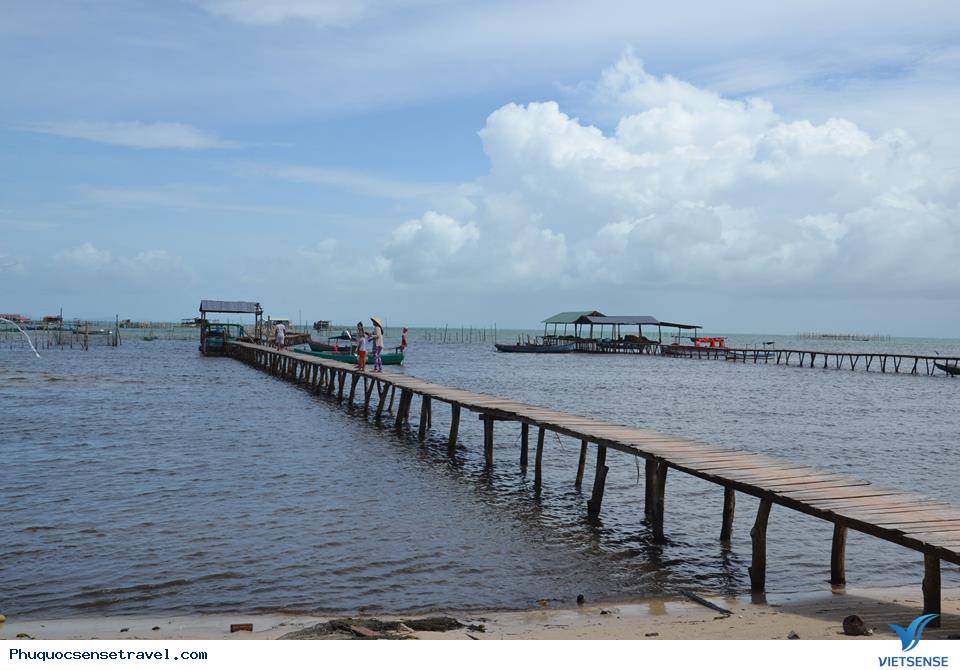 Một ngày trải nghiệm tại biển đảo Phú Quốc - Ảnh 3 Một ngày trải nghiệm tại biển đảo Phú Quốc - Ảnh 3