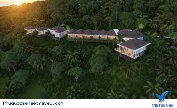 Nam đảo Phú Quốc sự bứt phá ngoạn mục - Ảnh 2