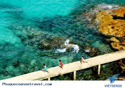 Nam Du, Nàng Tiên Cá Giữa Biển Khơi - Ảnh 1 Nam Du, Nàng Tiên Cá Giữa Biển Khơi - Ảnh 1