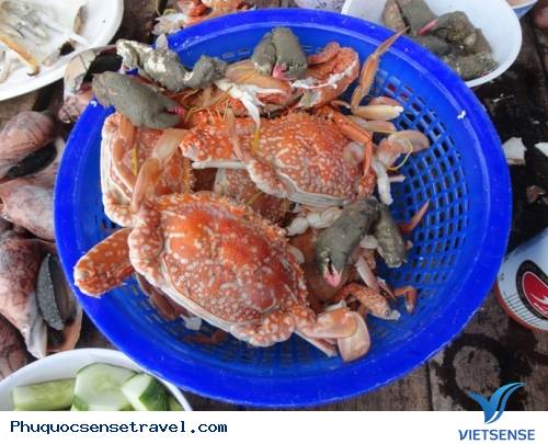 Nam Du, Nàng Tiên Cá Giữa Biển Khơi - Ảnh 3 Nam Du, Nàng Tiên Cá Giữa Biển Khơi - Ảnh 3