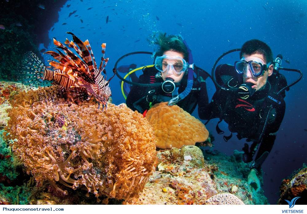 hành trình Phú Quốc nên đến những điểm nào? Chơi những đâu? - Ảnh 1