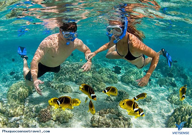 Nên đi thăm quan Phú Quốc vào thời gian nào đẹp và rẻ - Ảnh 1