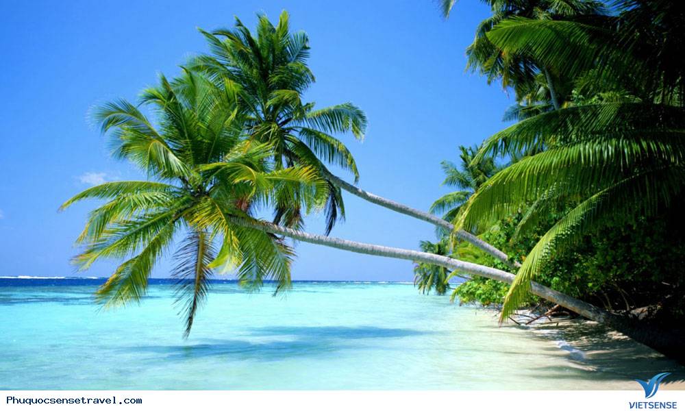 Nên đi thăm quan Phú Quốc vào thời gian nào - Ảnh 2 Nên đi thăm quan Phú Quốc vào thời gian nào - Ảnh 2