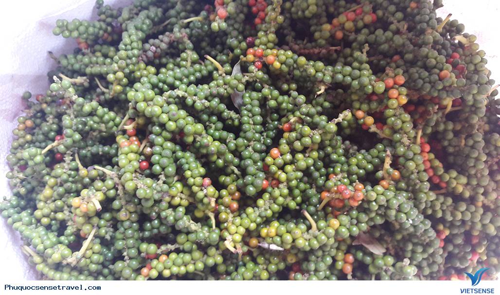 Nên thưởng thức những đặc sản gì khi đi thăm quan Phú Quốc - Ảnh 2 Nên thưởng thức những đặc sản gì khi đi thăm quan Phú Quốc - Ảnh 2