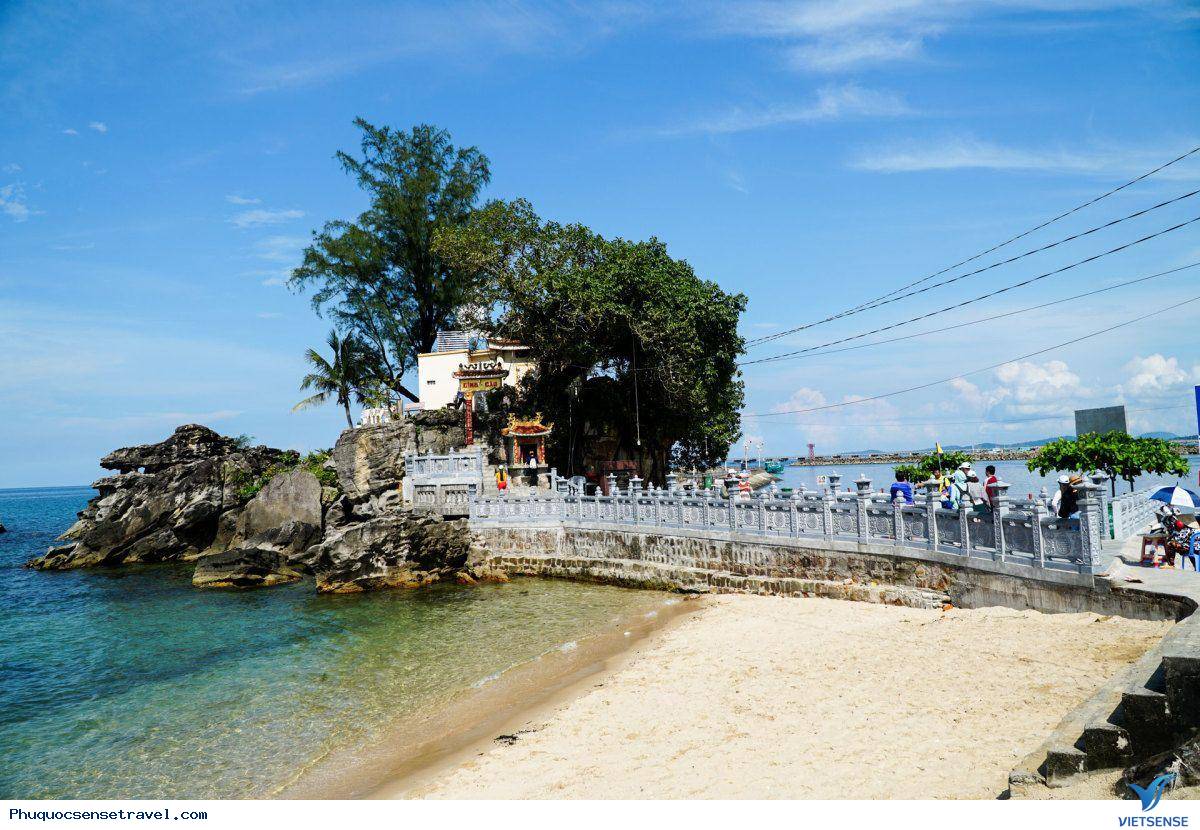 Nguồn gốc của Dinh Cậu