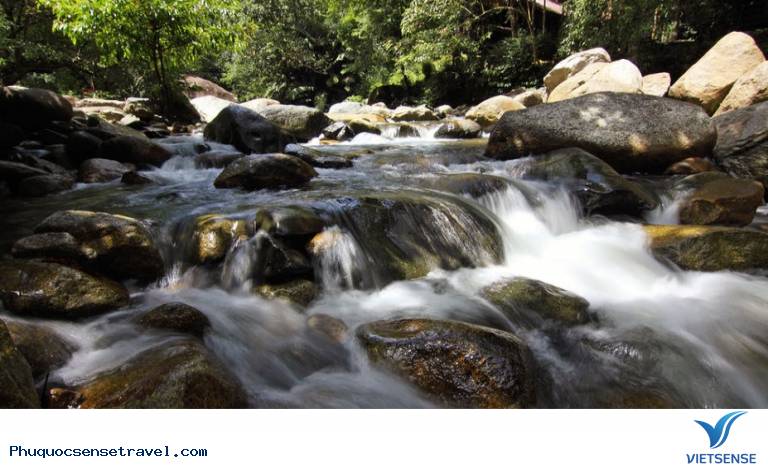 Nguồn gốc suối Đá Bàn Nguồn gốc suối Đá Bàn