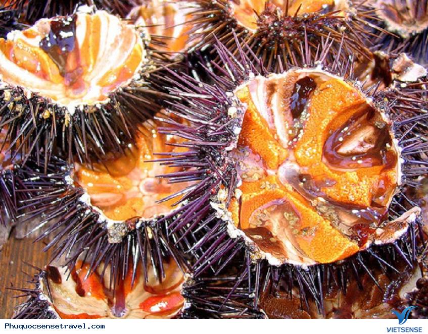 Nhum Phú Quốc - Ảnh 3