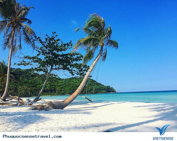 Những chiếc xích đu bên cây dừa chỉ có ở Phú Quốc - Ảnh 2