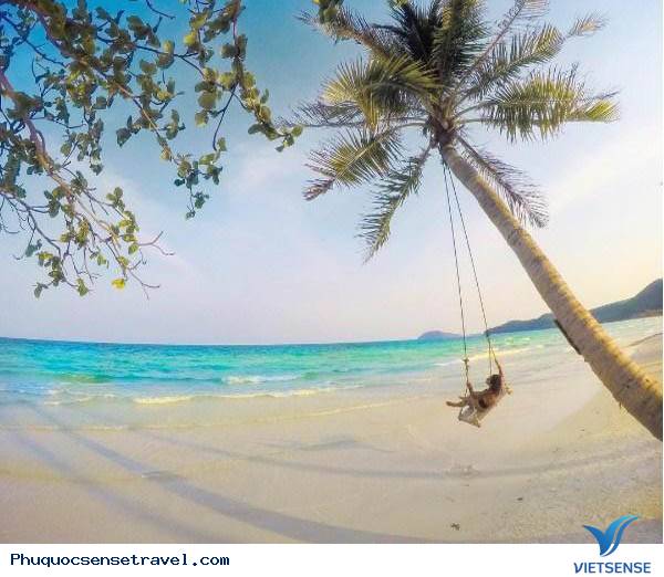 Những chiếc xích đu bên cây dừa chỉ có ở Phú Quốc - Ảnh 1