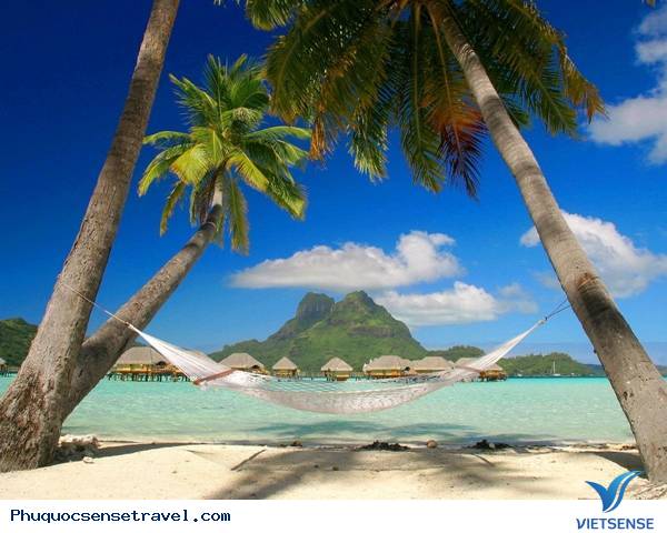 Những chiếc xích đu bên cây dừa chỉ có ở Phú Quốc - Ảnh 4