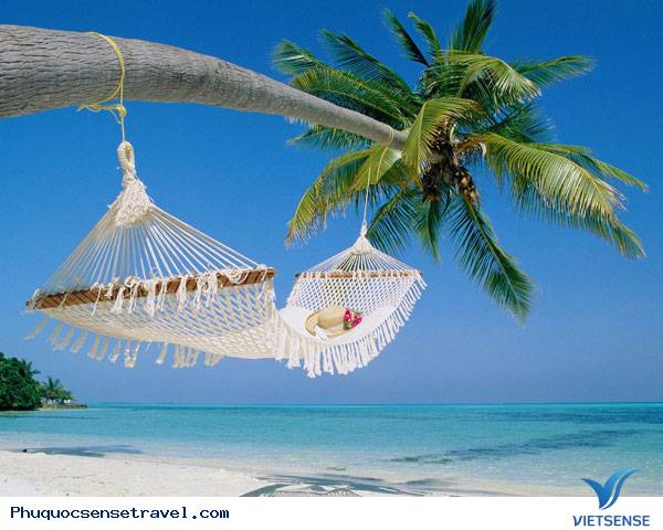 Những chiếc xích đu bên cây dừa chỉ có ở Phú Quốc - Ảnh 3