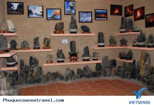 bảo tàng bảo tàng