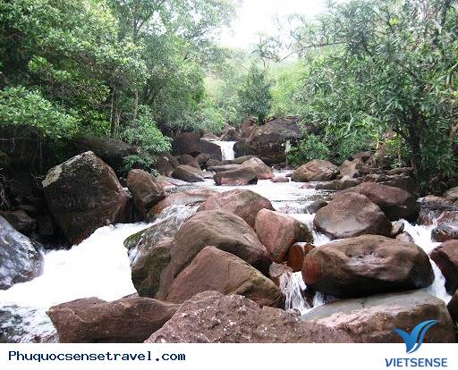 Những Địa điểm thăm quan Phú Quốc Hấp Dẫn(P5) - Ảnh 5