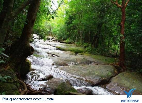 Những Địa điểm thăm quan Phú Quốc Hấp Dẫn(P5) - Ảnh 4