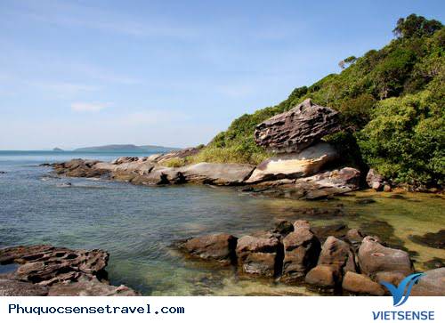 Mũi Gành Dầu - Ảnh 2