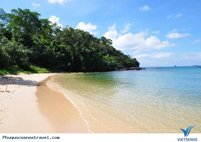 Mũi Gành Dầu - Ảnh 1