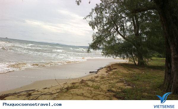 Bãi Dài - Ảnh 2