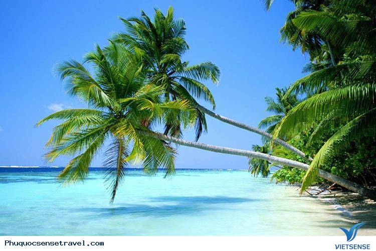 Những điểm thăm quan lý tưởng ở đảo ngọc Phú Quốc - Ảnh 1 Những điểm thăm quan lý tưởng ở đảo ngọc Phú Quốc - Ảnh 1