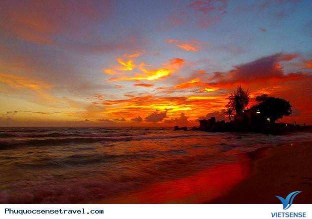 Mũi Gành Dầu: Mũi Gành Dầu: