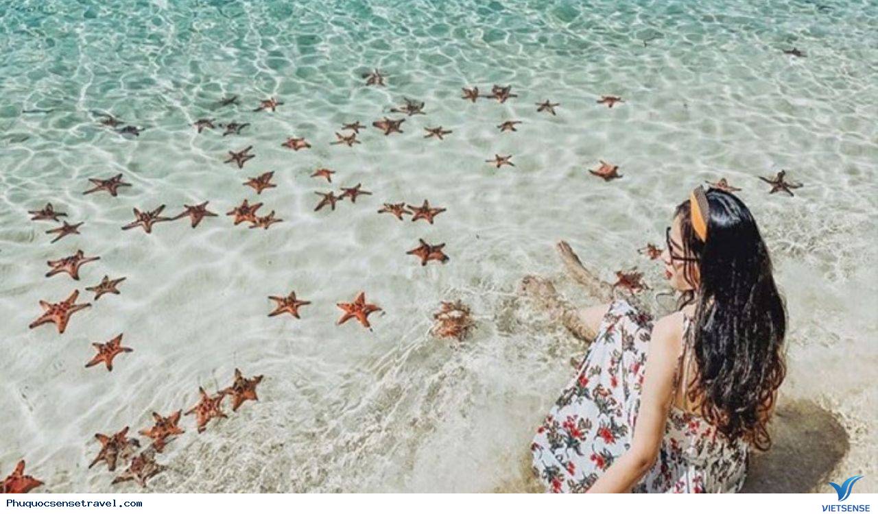 Những điều cần biết về Starfish Beach Phú Quốc Những điều cần biết về Starfish Beach Phú Quốc