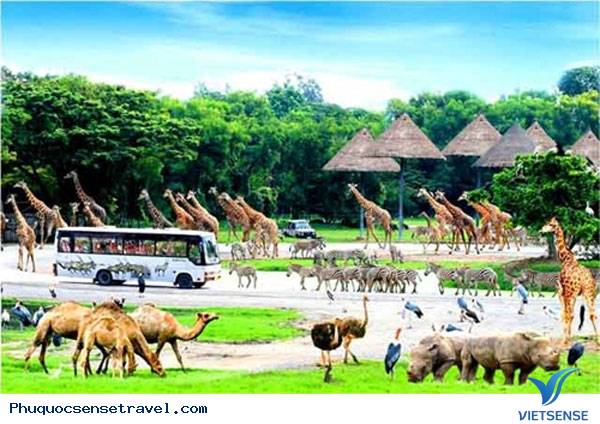 Điểm đến đầu tiên tại Phú Quốc Điểm đến đầu tiên tại Phú Quốc