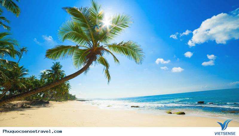 Dành cả ngày khám phá Bãi Sao tuyệt đẹp - Ảnh 3 Dành cả ngày khám phá Bãi Sao tuyệt đẹp - Ảnh 3