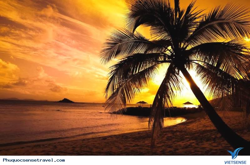 Dành cả ngày khám phá Bãi Sao tuyệt đẹp - Ảnh 2 Dành cả ngày khám phá Bãi Sao tuyệt đẹp - Ảnh 2