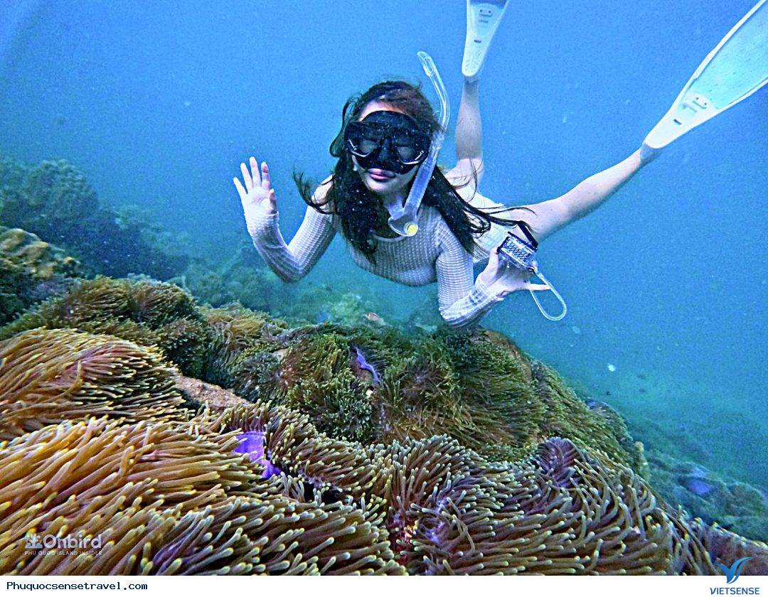 Những hoạt động ở Mũi Hàm Rồng - Ảnh 2