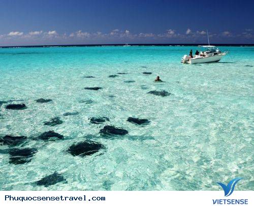 Những Hòn Đảo Caribbean Xinh Đẹp - Ảnh 2