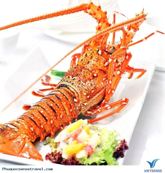 Những món ăn Hải Sản đắt đỏ ở Việt Nam