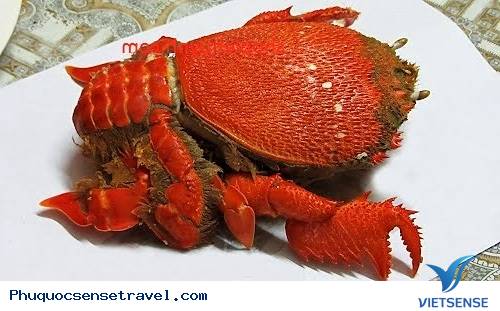 Những món ăn Hải Sản đắt đỏ ở Việt Nam