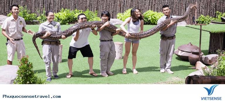 Những show diễn tại Vinpearl Phú Quốc Những show diễn tại Vinpearl Phú Quốc