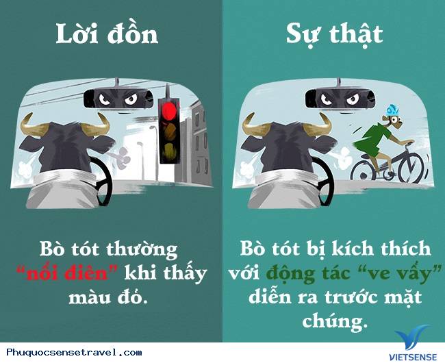 Những sự thật thú vị mà đa số người hiểu nhầm