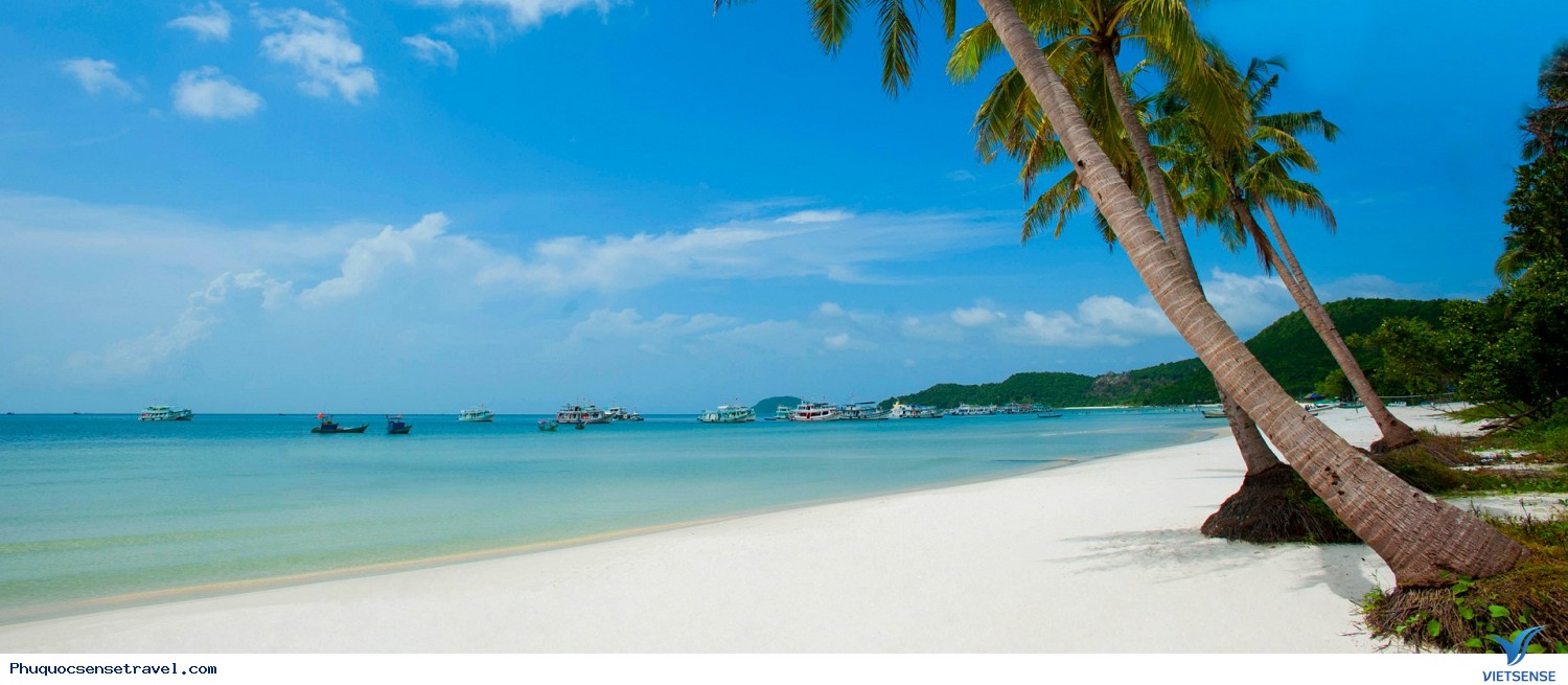 Những Thông Tin Đặc Biệt Cần Biết Khi Bạn đi thăm quan Phú Quốc - Ảnh 1