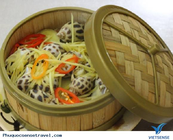 Ốc Hương Phú Quốc - Ảnh 2 Ốc Hương Phú Quốc - Ảnh 2