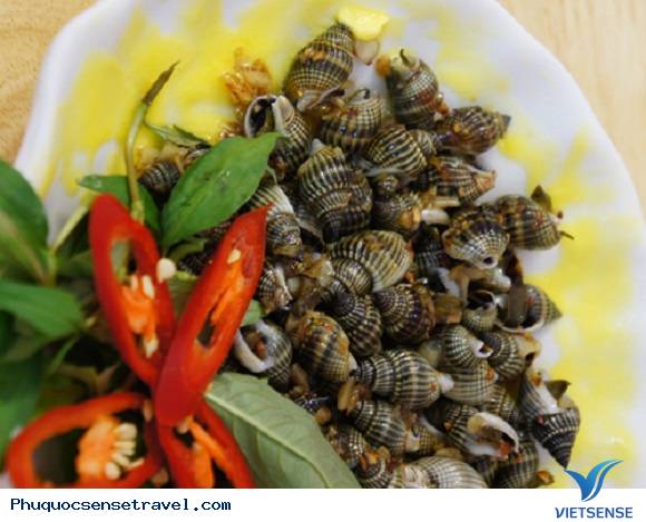 Ốc Hương Phú Quốc - Ảnh 3 Ốc Hương Phú Quốc - Ảnh 3