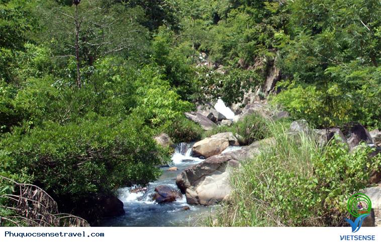 Phú Quốc – Lãng Mạn Mùa Mưa Rừng - Ảnh 2