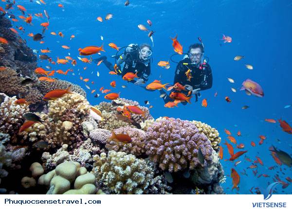 Phú Quốc có gì vui - Ảnh 5 Phú Quốc có gì vui - Ảnh 5