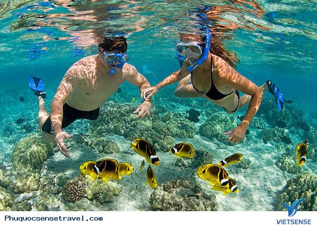 Phú Quốc điểm thăm quan/ nghỉ dưỡng hút khách nhất trong năm - Ảnh 5