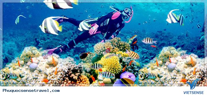 Phú Quốc - Hòn đảo lớn nhất Việt Nam - Ảnh 1 Phú Quốc - Hòn đảo lớn nhất Việt Nam - Ảnh 1