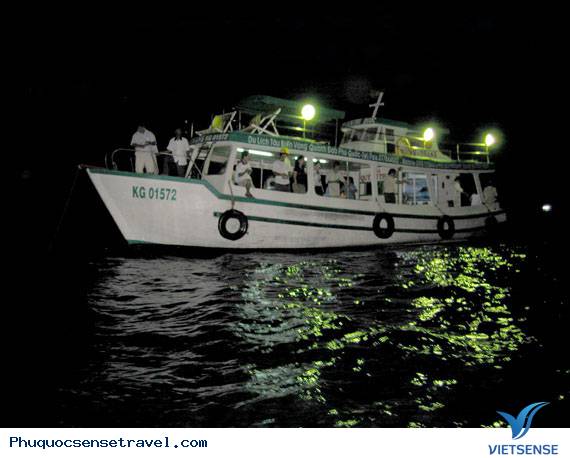 Phú Quốc - Hòn đảo lớn nhất Việt Nam - Ảnh 2 Phú Quốc - Hòn đảo lớn nhất Việt Nam - Ảnh 2