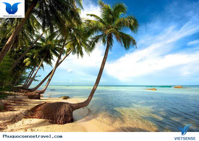 Phú Quốc Hưởng Ứng Tuần Lễ Môi Trường hành trình Xanh 2015 - Ảnh 2 Phú Quốc Hưởng Ứng Tuần Lễ Môi Trường hành trình Xanh 2015 - Ảnh 2