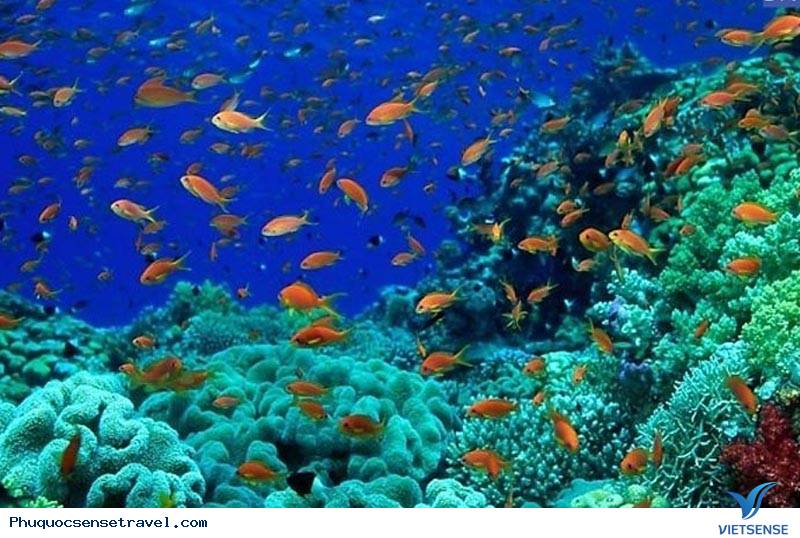 Phú Quốc Lọt Vào Top 10 Hòn Đảo Đẹp Nhất Châu Á - Ảnh 2 Phú Quốc Lọt Vào Top 10 Hòn Đảo Đẹp Nhất Châu Á - Ảnh 2