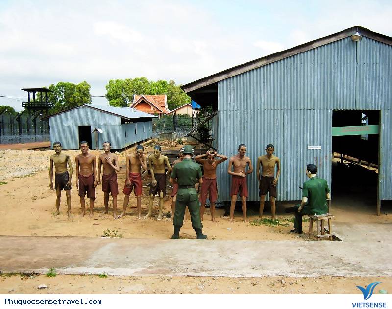 Phú Quốc nét đẹp của biển đảo - Ảnh 3