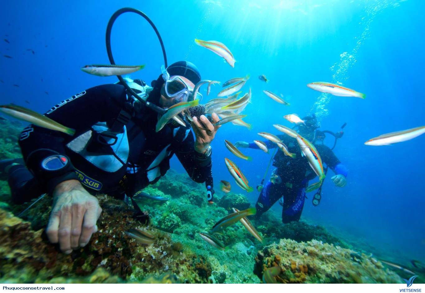 Phú Quốc Phát triển Lữ Hành
 gắn với bảo vệ môi trường biển - Ảnh 7