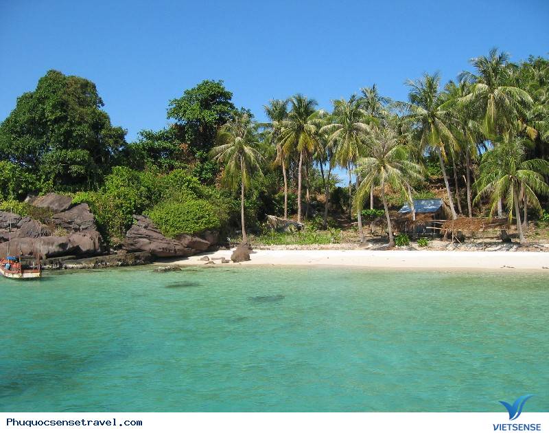 Phú Quốc Phát triển Lữ Hành
 gắn với bảo vệ môi trường biển - Ảnh 5